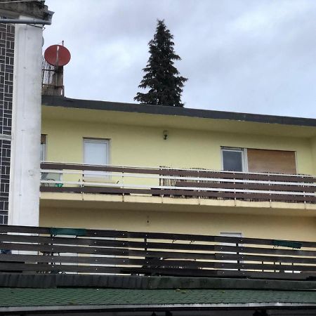 Apartments & Rooms Bad Soden Bad Soden am Taunus Exterior photo